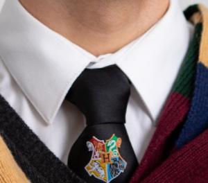 OFFICIAL WARNER BROS. HARRY POTTER SORTING HOUSE TIE